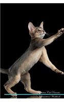 Abyssinian Cat Affirmations Workbook Abyssinian Cat Presents