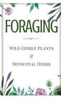 Foraging: A Beginner's Guide to Foraging Wild Edible Plants and Medicinal Herbs