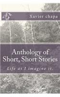 Anthology of Short, Short Stories: Life as I Imagine It.