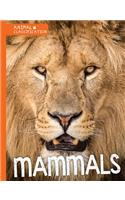 Mammals: (Animal Classification)