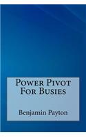 Power Pivot for Busies