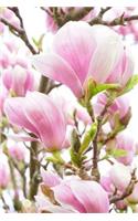 Lovely Pink and White Magnolia Flowering Tree Journal: 150 Page Lined Notebook/Diary