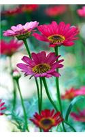 Bright Pink Gerbera Daisy Flowers Garden Journal: 150 Page Lined Notebook/Diary