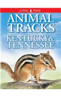 Animal Tracks of Kentucky and Tennessee