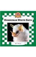 Honduran White Bats