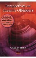 Perspectives on Juvenile Offenders