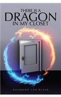 There Is a Dragon in My Closet