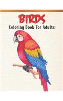 Birds Coloring Book For Adults