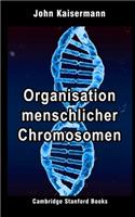 Organisation menschlicher Chromosomen: (2 Medizinische Genetik 1)