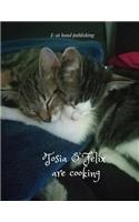 Tosia & Felix are cooking: From love to cooking. Perfect for a gift.(2 Cats)