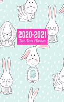 2020-2021 Two Year Planner