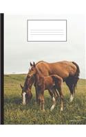 Composition Book: Wild Horse Baby and Mama, college ruled, 7.44x9.69 inch, 200 pages, bound notebook