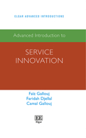 Advanced Introduction to Service Innovation (Elgar Advanced Introductions series)