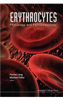 Erythrocytes: Physiology and Pathophysiology