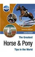 The Greatest Horse and Pony Tips in the World