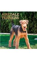 Airedale Terriers 2020 Square Foil