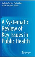 Systematic Review of Key Issues in Public Health