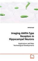 Imaging AMPA-Type Receptors in Hippocampal Neurons