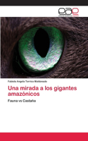 mirada a los gigantes amazónicos