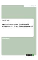 Der Waldkindergarten. Frühkindliche Förderung oder Gefahr für das Kindeswohl?