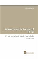 Heterochromatin Protein 1 (Hp1 )