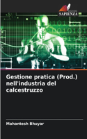 Gestione pratica (Prod.) nell'industria del calcestruzzo