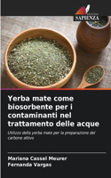 Yerba mate come biosorbente per i contaminanti nel trattamento delle acque