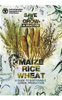 Save and Grow: Maize, Rice and Wheat