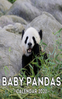 Baby Pandas 2021 Calendar: Cute Gift Idea For Panda Lovers Men And Women