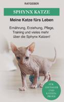 Sphynx Katze