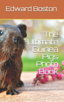 The Ultimate Guinea Pigs Photo Book: Looking Through The Eyes Of A Guinea Pig