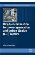 Oxy-Fuel Combustion for Power Generation and Carbon Dioxide (Co2) Capture