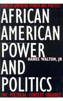 African American Power and Politics