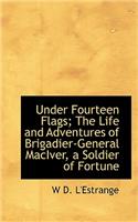 Under Fourteen Flags; The Life and Adventures of Brigadier-General Maciver, a Soldier of Fortune: (English)