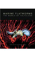 Marine Flatworms
