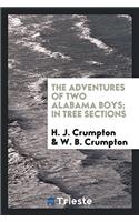 The adventures of two Alabama boys; in tree sections