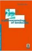 Phenomenology of Landscape