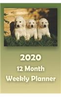 2020 12 Month Weekly Planner
