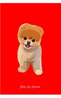 Shiba Inu Journal