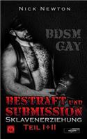 Bestraft Und Submission Sklavenerziehung Teil I+ii: Bdsm Gay(Sklavenerziehung)