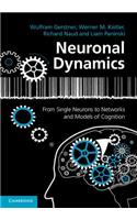 Neuronal Dynamics: From Single Neurons to Networks and Models of Cognition