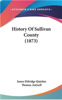 History Of Sullivan County (1873)