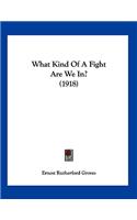 What Kind Of A Fight Are We In? (1918)