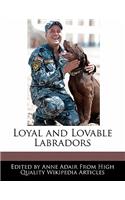 Loyal and Lovable Labradors