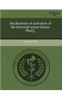 Mechanisms of Activation of the Bacterial Sensor Kinase Phoq: (English)