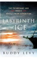 Labyrinth of Ice