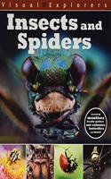 Visual Explorers: Insects and Spiders