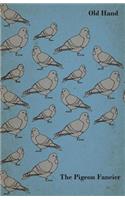 Pigeon Fancier