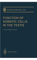 Function of Somatic Cells in the Testis