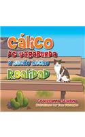 Cálico